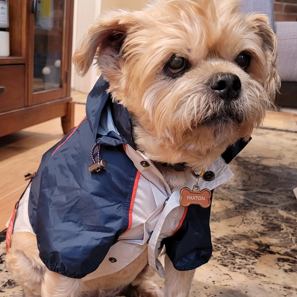 ❤️ Host Pick ❤️ Lightweight Dog Hooded Rain Jacket M - Picture 2 of 16